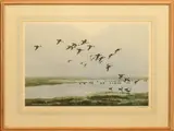 Pintails on a hazy day by Peter Scott, print, sold May 2024