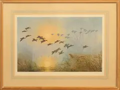 Teal coming to the pool by the willow on a misty morning colour by Peter Scott, print, sold May 2024