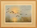 Teal coming to the pool by the willow on a misty morning colour by Peter Scott, print, sold May 2024