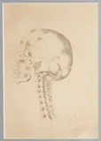 Skull colour screenprint by Pavel Tchelitchew, 1949, screenprint, sold Mar 2024