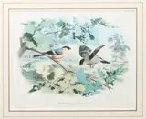 Untitled by Édouard Traviès, print (other), sold Jan 2024