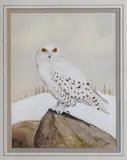 Snowy owl in a winter landscape by S. Muir, watercolour, sold Jan 2024