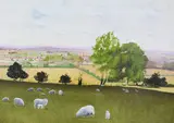 Sheep grazing in an extensive summer landscape by John Richards, 2003, oil on canvas, sold Nov 2023