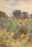Gathering Bullrushes by Joseph Kirkpatrick, 1901, Watercolour, offered Oct 2023