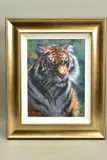 'Tiger in The Sun', a Limited Edition print, 100/95, signed bottom by Rolf Harris, print, sold Nov 2020