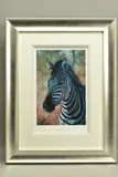 'Young Zebra', a Limited Edition print, 47/195, signed to the lower by Rolf Harris, print, sold Nov 2020