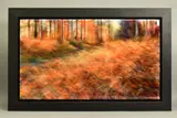 Pavoca by Nick Andrew, oil on canvas, sold Nov 2020