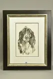 Springer spaniel iv by April Shepherd, charcoal on paper, sold Nov 2020