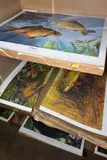 comprising of approximately two hundred and fifty each 'Mirrors by Fishing Related Open Edition Prints, print (other), sold Nov 2020