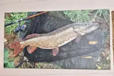 a study of a Pike in a landing net signed G Cartwright by Garry Cartwright, oil on canvas, sold Oct 2020
