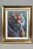 Tiger in the sun by Rolf Harris, print, sold Oct 2020
