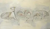 Study of whippets Signed Mixed media by Max Leuchars, Mixed media on board, sold Dec 2019