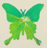 Untitled by Damien Hirst, Acrylic on card, offered Dec 2019