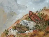 Red grouse by Ian Bowles, watercolour and gouache, sold Dec 2019