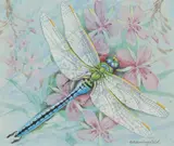 Emperor dragonfly by Gordon Beningfield, Watercolour heightened with white, offered Dec 2019