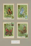 A set of four stamps depicting Small Tortoiseshell by Gordon Beningfield, watercolor, sold Dec 2019