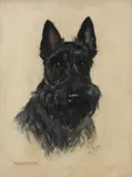 Murdoch by Mabel Gear, Pastel, sold Dec 2019