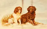 Two spaniels on a dune by English School, watercolour, sold Nov 2014