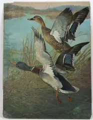 Untitled by Lynn Bogue Hunt, Oil on board, sold Sep 2025