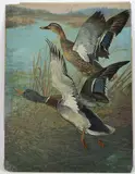 Untitled by Lynn Bogue Hunt, Oil on board, sold Sep 2025
