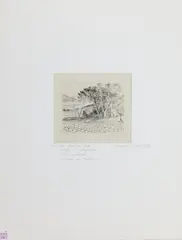 Les Périgues, Le Pin Parasol, by André Dunoyer de Segonzac, Etching, sold Aug 2026