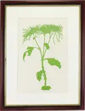 Chrysanthemum by Henry Evans, Linocut "Chrysanthemum", sold Sep 2026