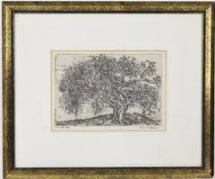The Tree by Morris Blackburn, Engraving, sold Sep 2026