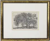The Tree by Morris Blackburn, Engraving, sold Sep 2026