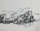 Untitled by Ursula Vaard Von Rydingsvard, Lithograph, sold Sep 2026