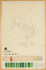 Cookies and Milk, 2nd Generation by Danica Phelps, 2003, watercolor, pencil on paper, wood, sold Feb 2021