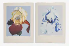 Iris Prints (2) by Lowell Nesbitt, 1980, lithograph, sold Feb 2021