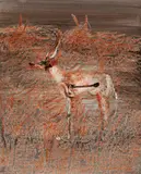 Gazelle by Sidney Nolan, 1964, wax crayon and fabric dye on paper, sold Aug 2015