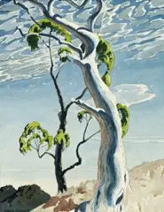 The White Gum Tree by Kenneth Robertson Macqueen, 1955, watercolour on paper, sold May 2015