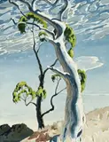 The White Gum Tree by Kenneth Robertson Macqueen, 1955, watercolour on paper, sold May 2015