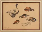 Études de canard by Georges Lucien Guyot, Mine de plomb et aquarelle sur papier, sold Apr 2023