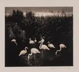 Mount Etjo, Namibia by Pentti Sammallahti, 2005, Tirage photographique en noir et blanc, sold Mar 2023