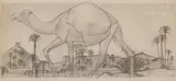 Chameau dans la palmeraie by Bernard Boutet de Monvel, Crayon sur papier mis au carreau au crayon et à l’encre rouge, sold Jun 2023