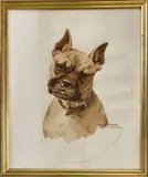 Boxer by Jacques Cartier, Aquarelle signée en bas à droite, sold Jul 2025