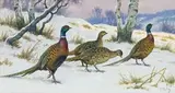 Faisans et poules faisannes dans la neige by Georges Rötig, 1946, Gouache signée et datée «46» en bas à droite, sold Dec 2014