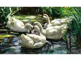 Enten im Schilf by Alexander Koester, oil on canvas, sold Jun 2026