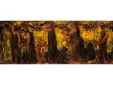 Bacchanal by Luigi Conconi, oil on panel, offered Dec 2016