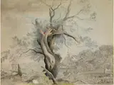 Landschaft mit Knorrigem Alten Baum am Rande Eines Dorfes by Johann Georg von Dillis, watercolor, offered Mar 2024