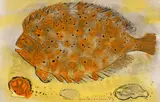 Poisson orange by Paul-Vanier Beaulieu, 1967, ink and gouache on paper, sold Nov 2022
