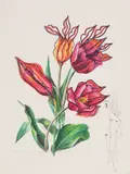 Tulips and Lips (from Florals) by Salvador Dalí, colour lithograph on Arches paper, sold Oct 2022