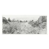 Roan Mountain Garden Series II by Richard Mayhugh, Etching on paper, sold Mar 2025