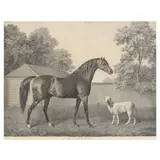 Dungannon and Lamb by George Townly Stubbs, Engraving and stipple engraving, sold Feb 2025