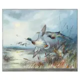 Nocturne / Mallards in the Reeds by William Edward Powell, Watercolor on paper, sold Feb 2025