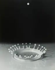Milk-Drop-Coronet by Harold Eugene Edgerton, photograph, sold Dec 2025