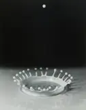 Milk-Drop-Coronet by Harold Eugene Edgerton, photograph, sold Dec 2025