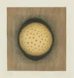 Ohne Titel by Arthur Luiz Piza, pencil, offered Dec 2025